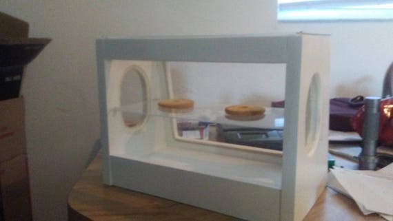 american girl doll display case