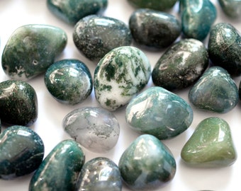 Moss Agate Tumbled Stones - Natural Green Moss Agate - Crystal Healing - 1" to 1.5"