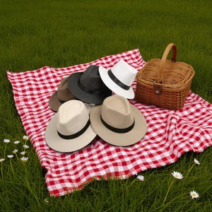 Genuine Handmade | Panama Hat | Travel Tube from Cuenca | Fedora Hat