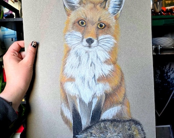 Fox | Art Print | Colored Pencil