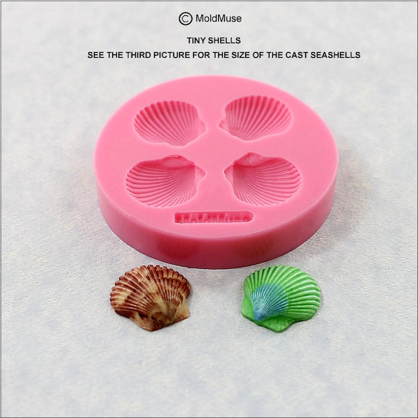 Seashell Silicone Mold Sea Shell resin, polymer clay, fondant, candy (366)