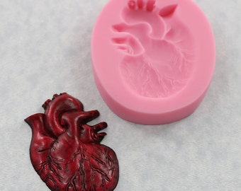 Anatomical Heart Mold Silicone Mould Resin Chocolate Fondant Clay Wax (346)