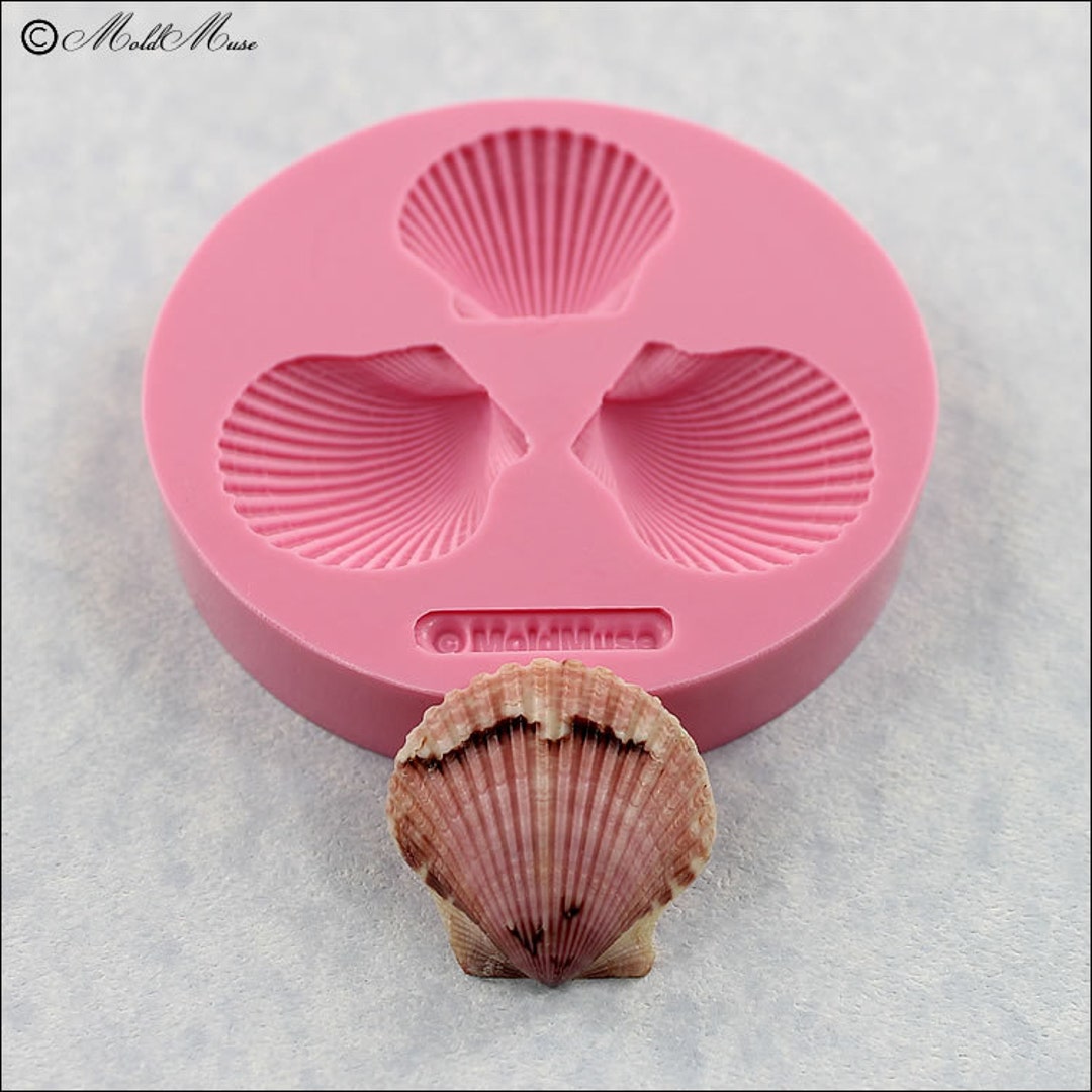 Seashell Mold Mould for Fondant, Resin, Polymer Clay, Chocolate 283 Etsy