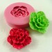 see more listings in the Flowers/Leaves Molds section