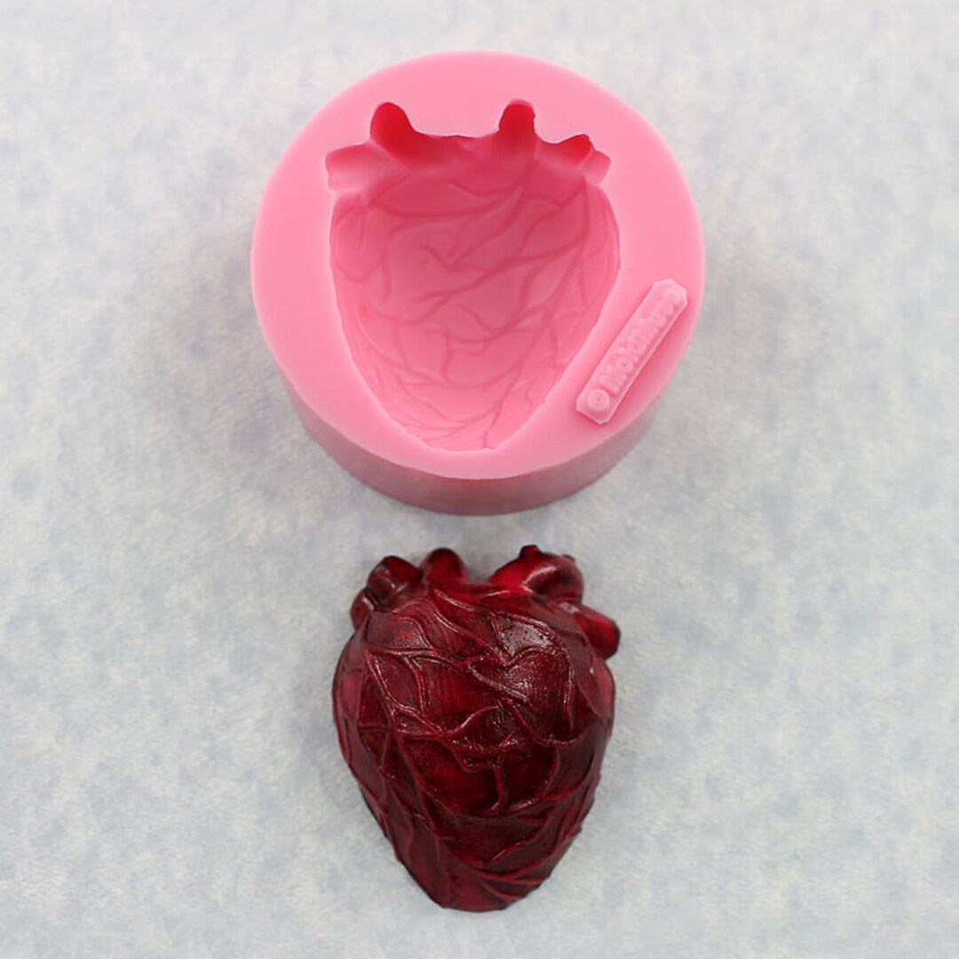 Anatomical Heart Resin Mold – Let's Resin