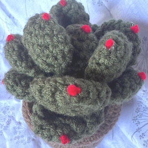 Crochet Succulent Plant