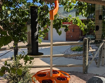 Comedero de gelatina para oropéndolas