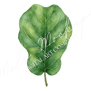 May include: Watercolor illustration of a large, green fiddle leaf fig leaf. The leaf has detailed veining and a slight yellow-green gradient. The image has the text "Meliss Mockups DIGITAL ART COMPANY" in white cursive.