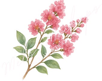 Vintage Myrtle Branch Clipart, 1800s Botanical Illustration (Digital Download)