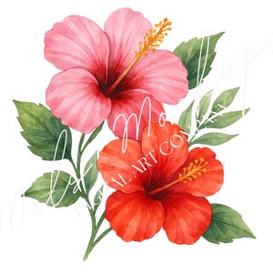 Watercolor Hibiscus Clipart, Tropical Hibiscus Flower PNG, Hand-Painted Floral Graphic, Summer Botanical Digital Download for Commercial Use