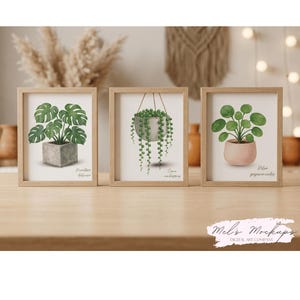 Set of 3 Botanical Plant Prints, Monstera, Pilea, String of Pearls Wall Art