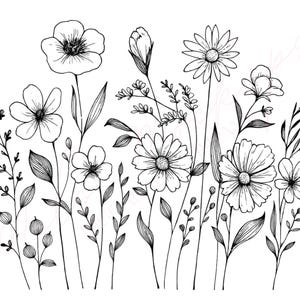 May include: A black and white line drawing of various wildflowers and foliage. The illustration features detailed depictions of daisies, other open-faced flowers, buds, and various leaves and stems, all against a white background.