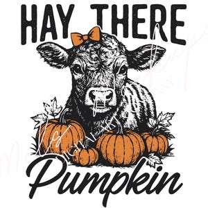 Heu dort Kürbis PNG, Baby Highland Kuh Herbst Design, Retro Herbst Grafik, trendiges Herbst Mädchen Shirt Sublimation & digitaler Download