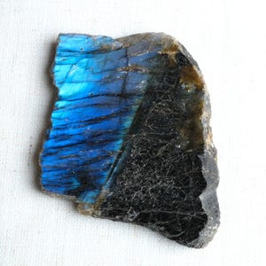 May include: A raw labradorite gemstone, polished to reveal a vibrant blue iridescence. The stone has a natural, uneven edge and a dark base. The blue flash is the focal point, offering a stunning contrast to the darker areas.