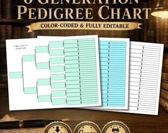 Szablon wykresu rodowego 6 pokoleń | Segregator badań genealogicznych, kodowany kolorami | Drukowany rekord przodków w drzewie genealogicznym