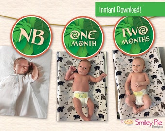 Bannière photo premier anniversaire de Maui : imprimable 12 mois (téléchargement instantané)