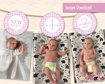 Pink Gingham Baby Milestone Banner: First Birthday Photo Display (Printable File)