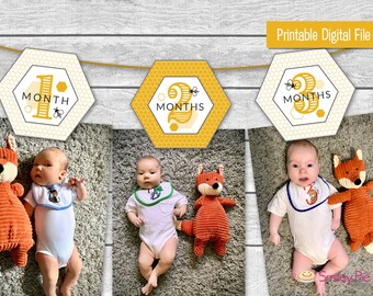 Fotobanderoll för biets första födelsedag: Utskrivbar månatlig milstolpe (digital nedladdning) – First Bee-Day