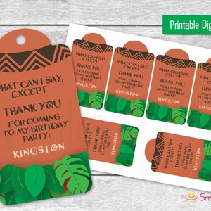 Maui Favor Tags - Printable File - Birthday Party Favor Tags - Boy - Baby Boy - Moana-Inspired