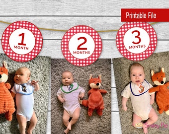 Red Gingham First Year Photo Banner: 12 Months (Printable File)