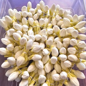 Jasmine Flower string for your hair (easy maintenance and waterproof)