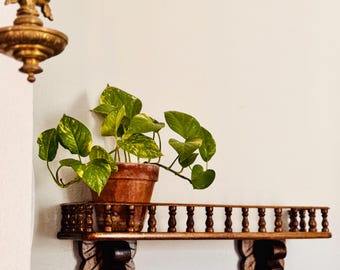 Wooden Balcony Shelf (24in*6in*6in)