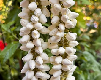 Bud Jasmine (narrow ends/very realistic)  16 in- handmade, elegant, reusable