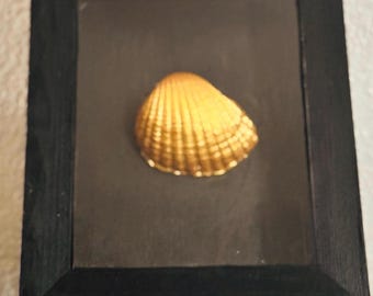 Golden Seashell in Rustic Frame , home decor