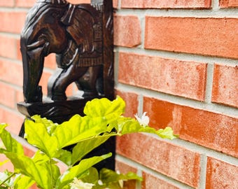 Majestic elephant corbel/wall bracket (15inch)