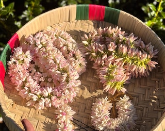 Combo 2: Jasmine flowers (realistic, reusable, lightweight, handmade)