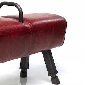 Puede incluir: Un potro de cuero rojo con un asa y patas de metal negro. Las patas tienen un diseño en forma de pezuña. El potro es un elemento clásico del equipamiento de gimnasia.