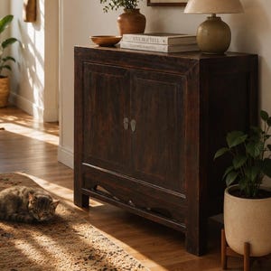 Puede incluir: Un mueble de madera oscura con dos puertas y herrajes metálicos, con una lámpara pequeña, libros, un cuenco de madera y una planta encima. Un póster enmarcado de Palm Springs cuelga arriba y un gato descansa sobre una alfombra.