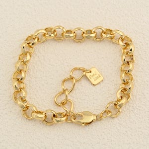 Puede incluir: Una pulsera dorada con un diseño de eslabones. La pulsera tiene un cierre de mosquetón y una cadena ajustable. Una pequeña chapa rectangular con la inscripción "Good Luck" está adjunta.