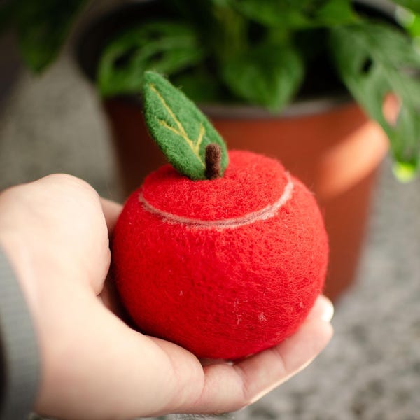Apfel Aufbewahrungsbox aus gefilzter Wolle: Handgemachtes Eco Geschenk