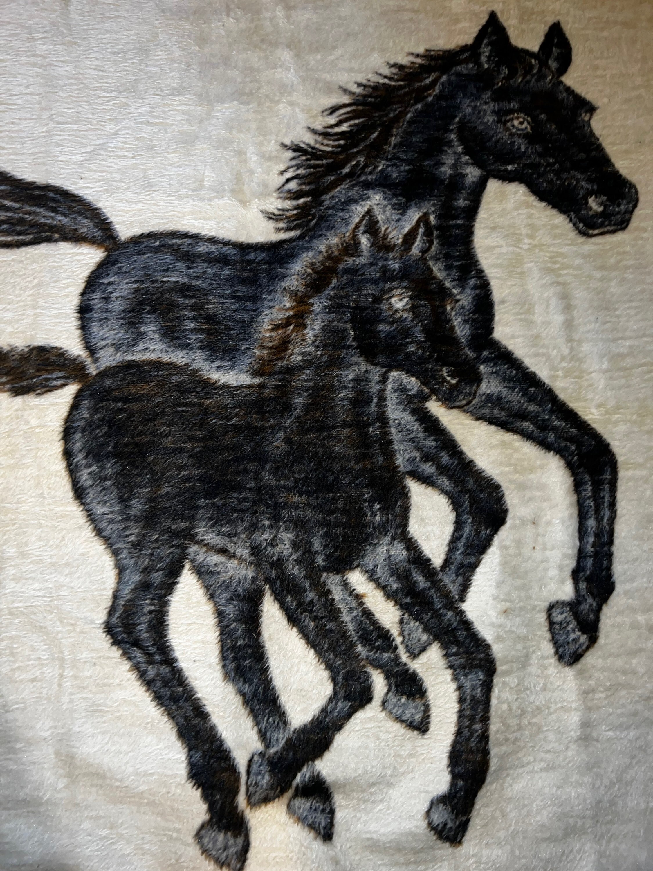 Vintage Biederlack Horse Blanket. Awesome Horse Blanket. Reversible
