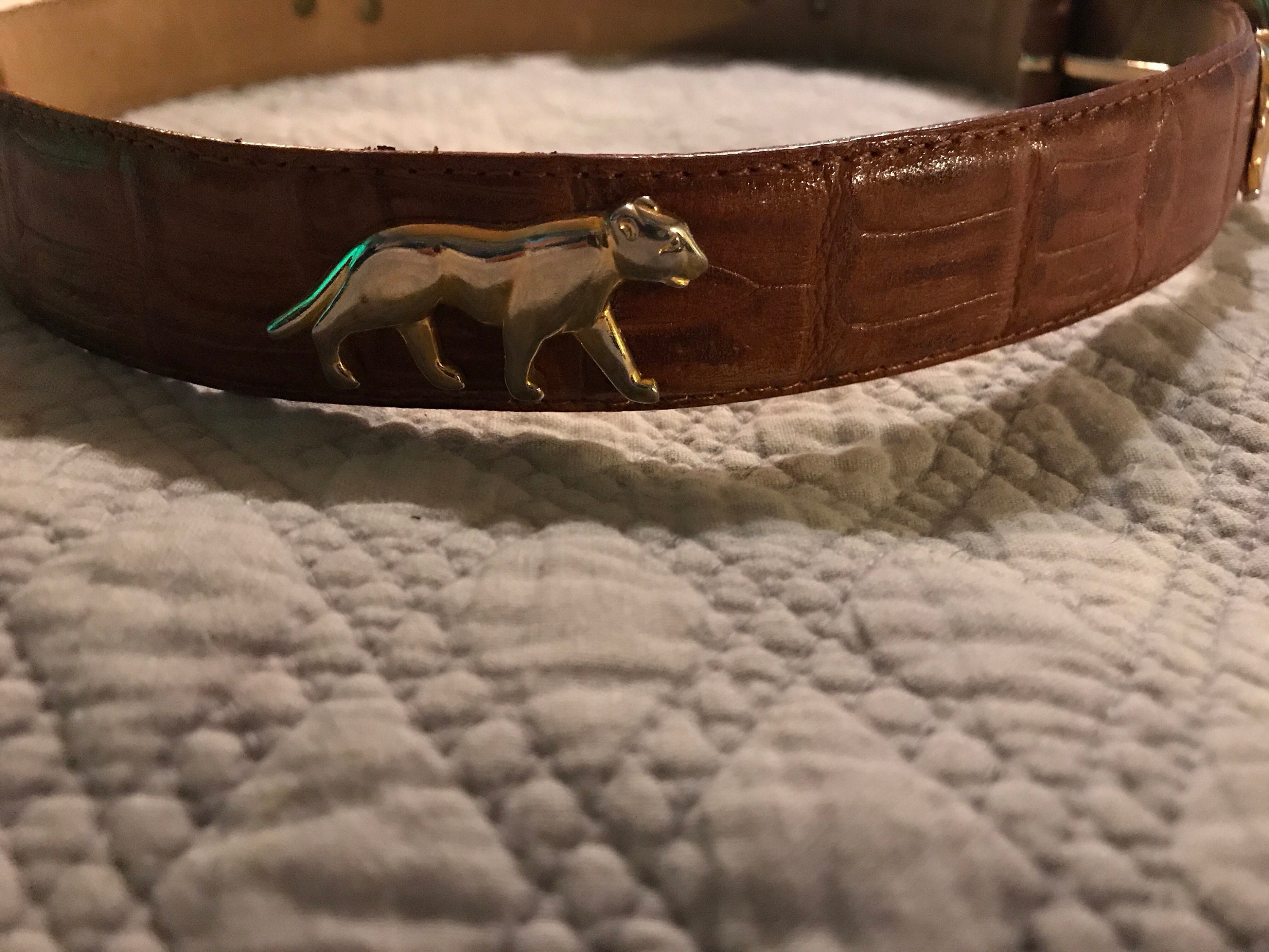safari belt strap