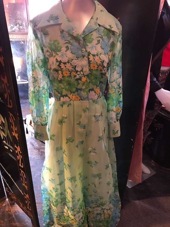 Vintage Green Chiffon Maxi Dress. 1960's Acclaim B