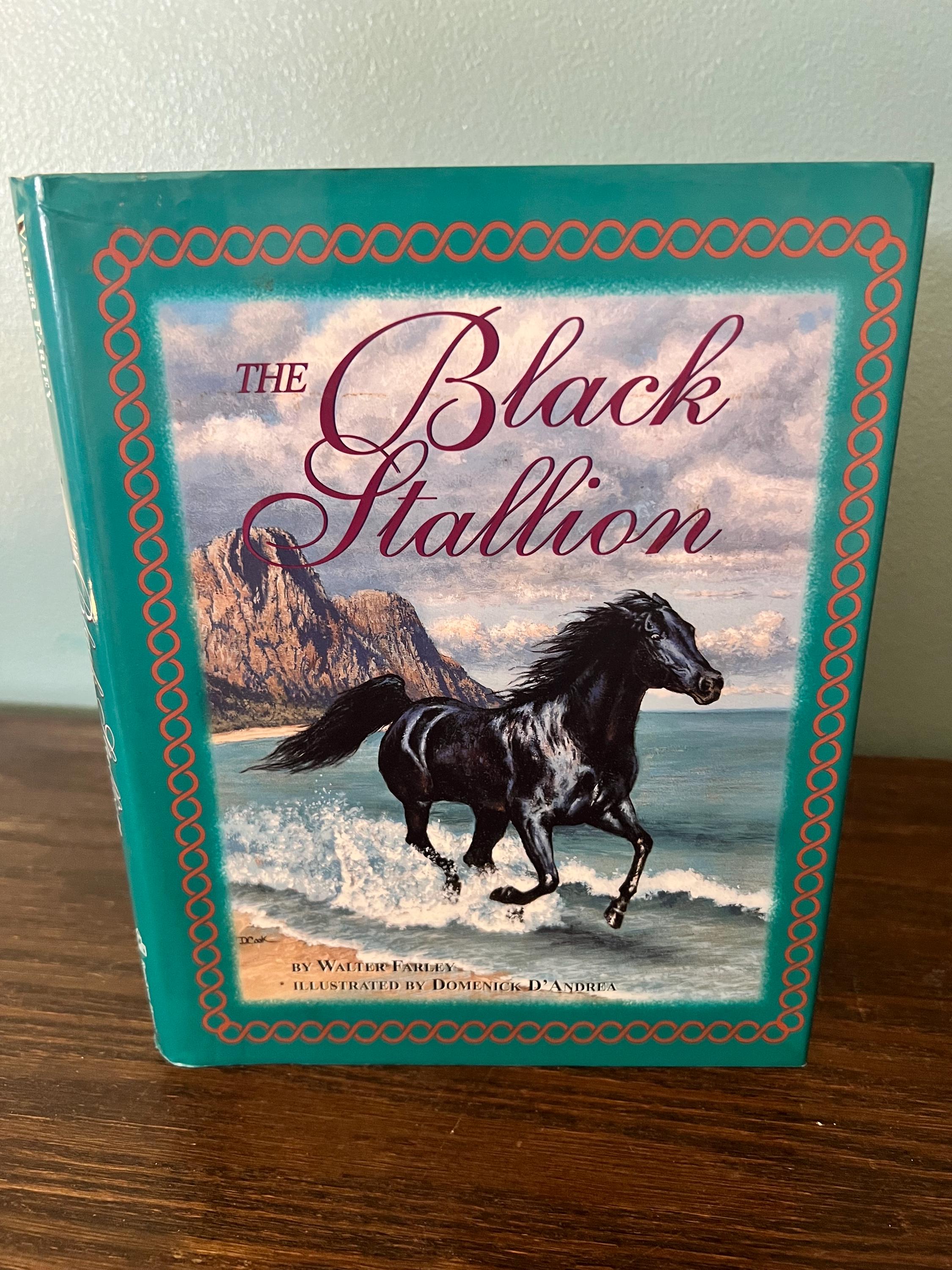 The Black Stallion Book - Etsy
