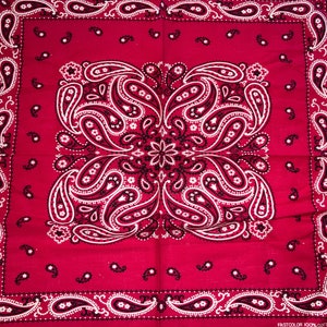 Vintage Red Paisley Bandana