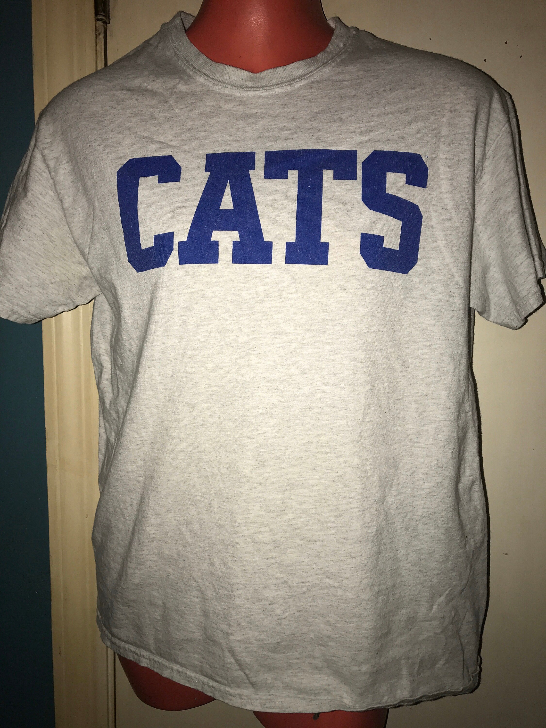 Kentucky Vintage Shirt : Vintage University Of Kentucky T-shirt. Wildcats T-shirt. Cats Vintage