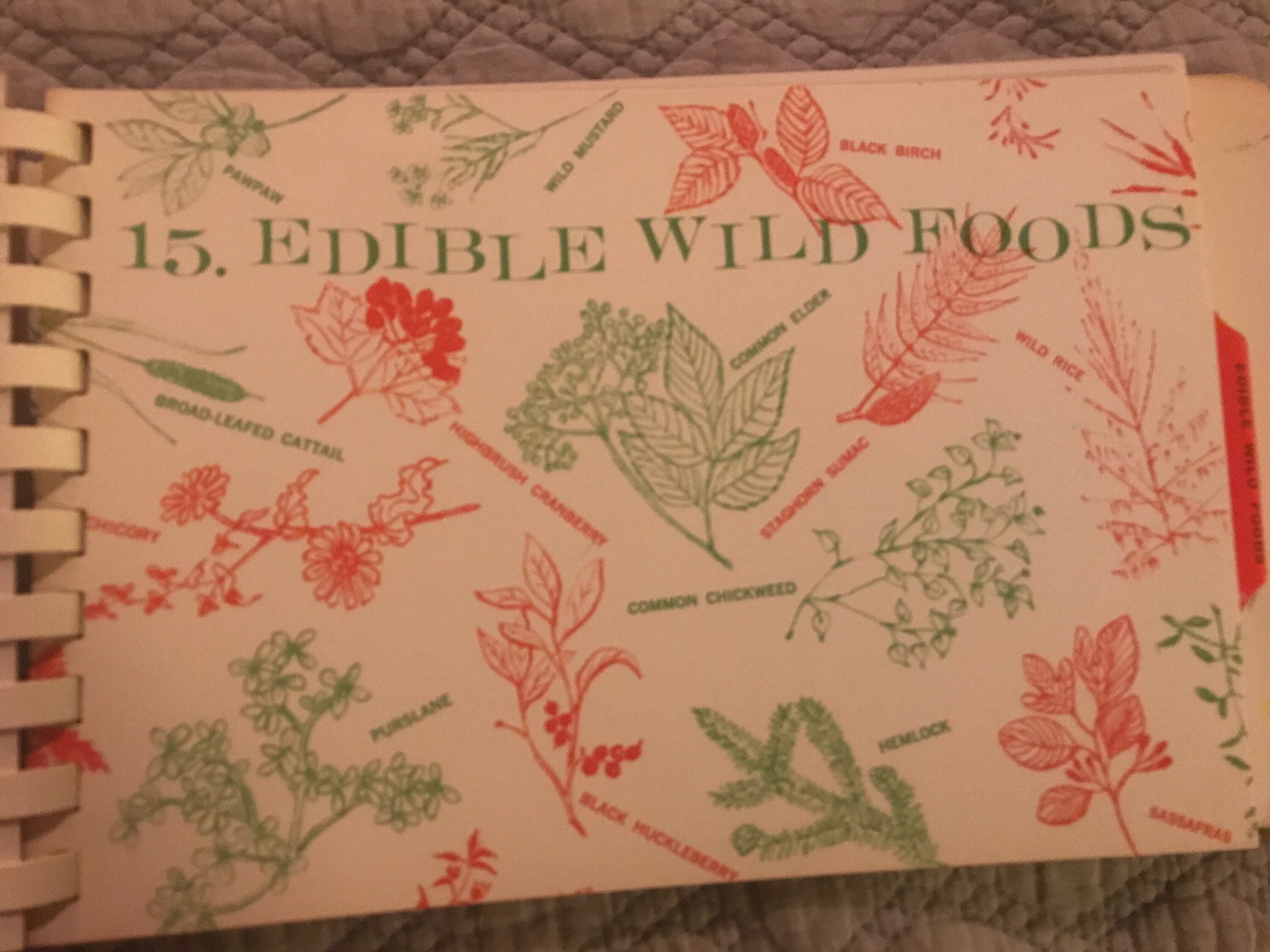 Vintage Cookbook. Girl Scouts Cookbook. Out Od Doors Cookbook. Girl Scouts Guide.