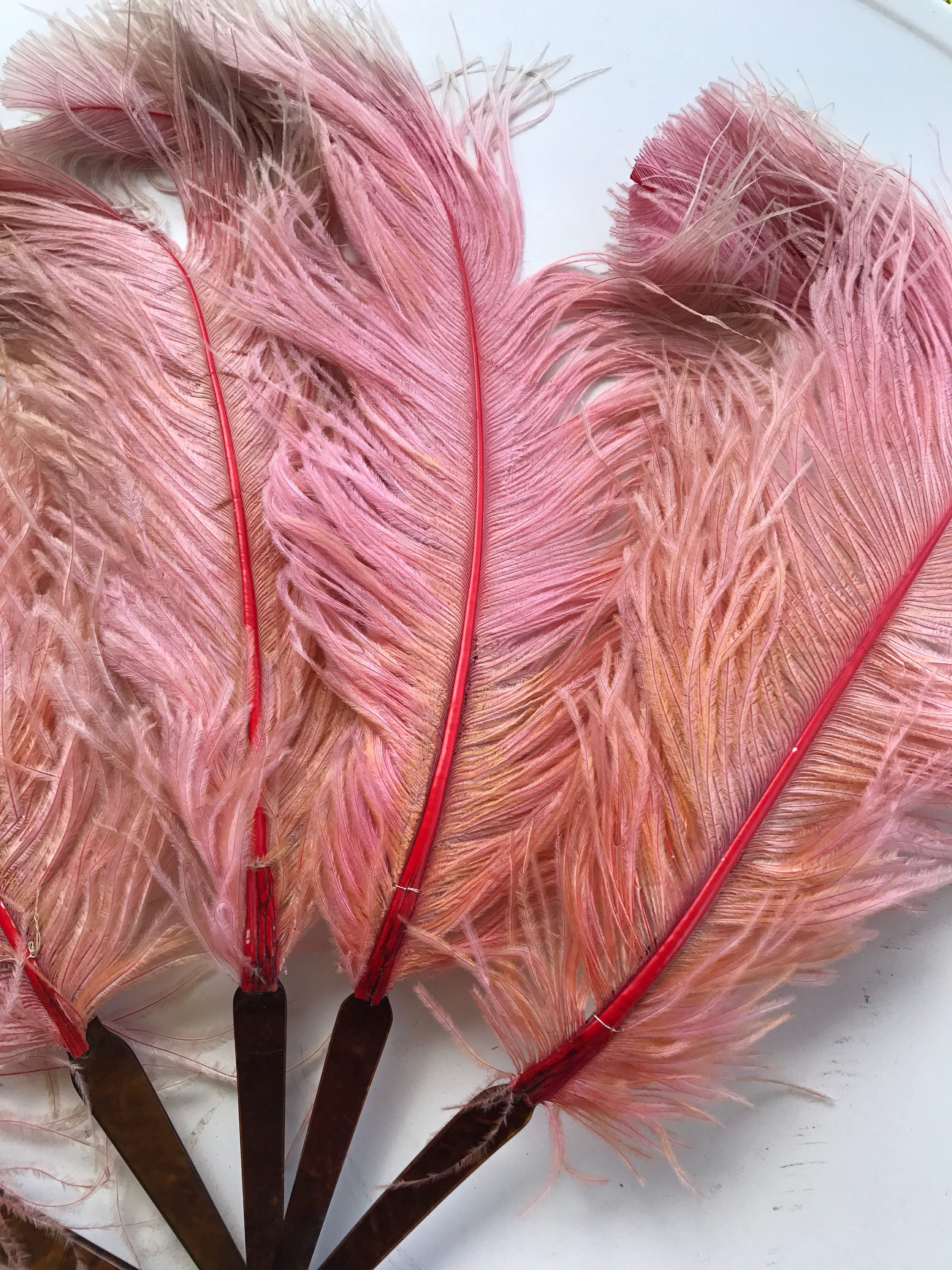 Vintage Ostrich Feather Fan. Pink Feather Fan. Antique Ostrich Feather ...