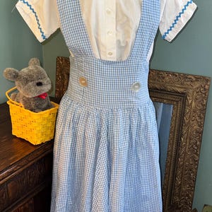 May include: A vintage-style blue and white gingham dress with suspenders, paired with a white blouse featuring blue trim. The dress has large buttons and a full skirt. A stuffed animal in a yellow basket is in the background.