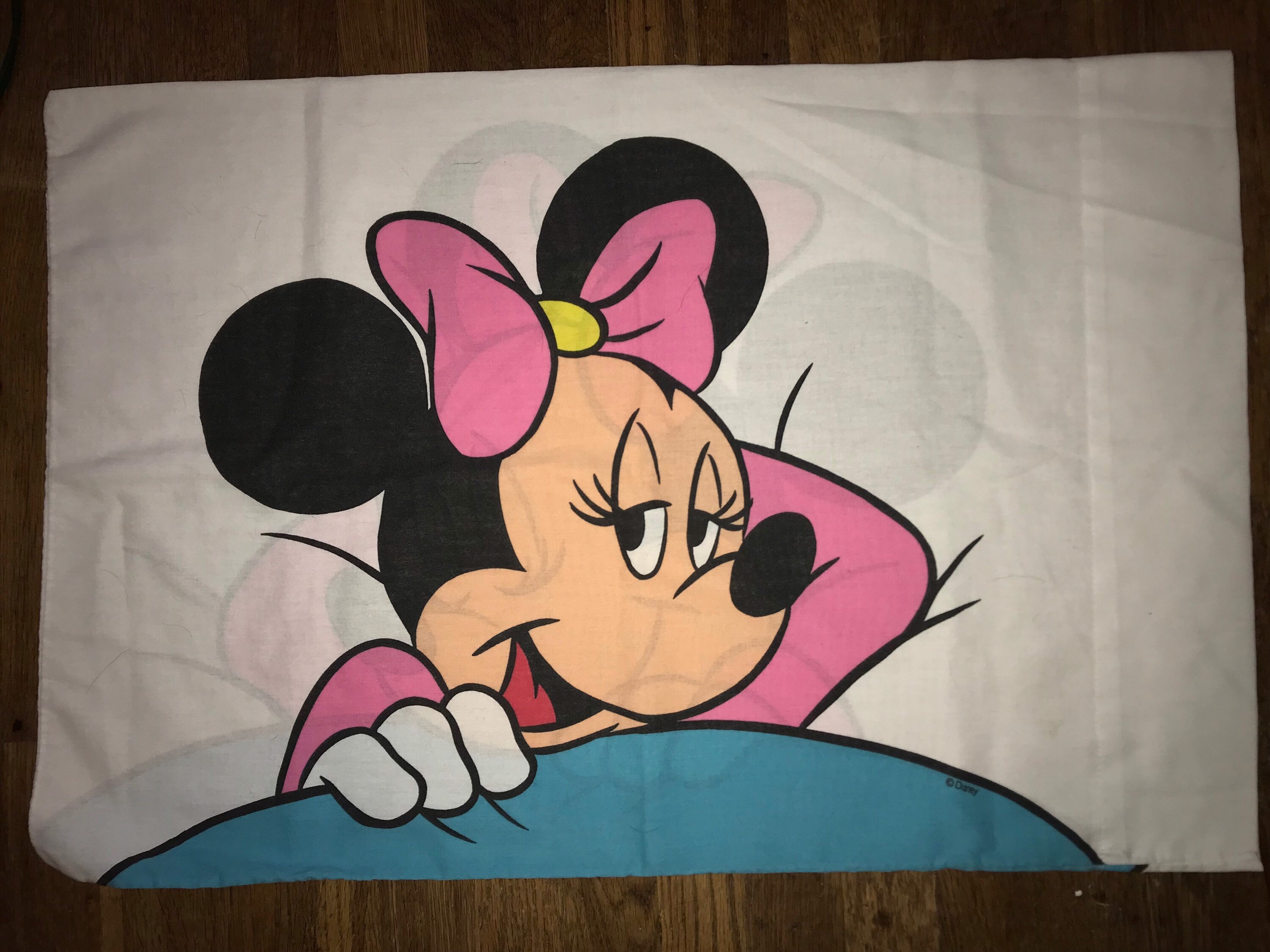 Vintage Minnie Mouse Pillowcase. Minnie Mouse Pillowcase. Cool