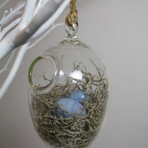 hand blown glass bird nest terrarium with two glass eggs image 2