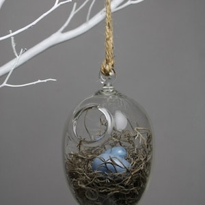 hand blown glass bird nest terrarium with two glass eggs image 4