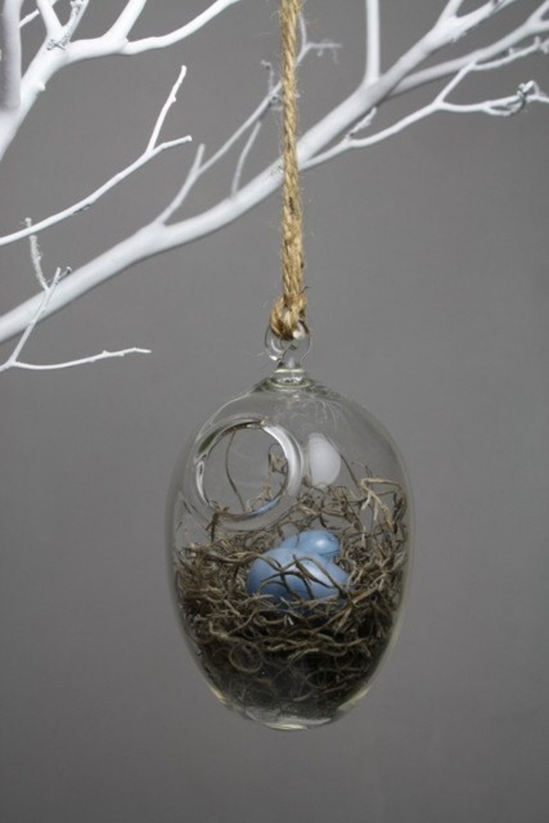 hand blown glass bird nest terrarium with two glass eggs image 4