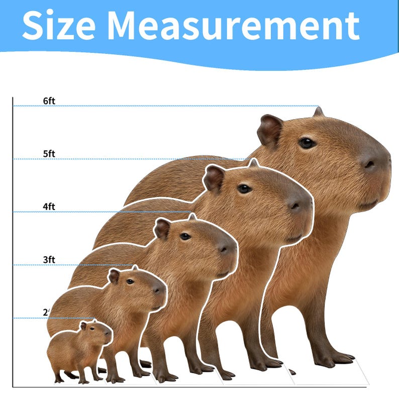 Realistic Capybara Cardboard Cutout, Life Size Capybara Standee, Zoo ...
