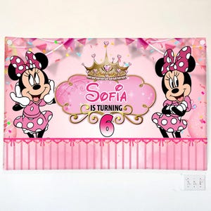 May include: A pink banner featuring Minnie Mouse characters and the text "Sofia is turning 6." The banner has a pink background with polka dots, a gold crown, and decorative elements. Two Minnie Mouse characters are on either side.