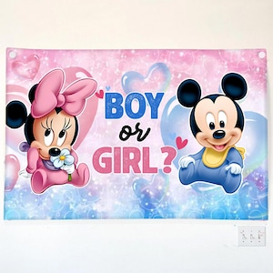 K&ouml;nnte beinhalten: Geschlechtsenth&uuml;llungsbanner mit Minnie und Mickey Mouse auf rosa und blauem Hintergrund. Der Text "BOY or GIRL?" wird angezeigt. Minnie Mouse tr&auml;gt ein rosa Kleid und eine Schleife, und Mickey Mouse ist in einem blauen Outfit.